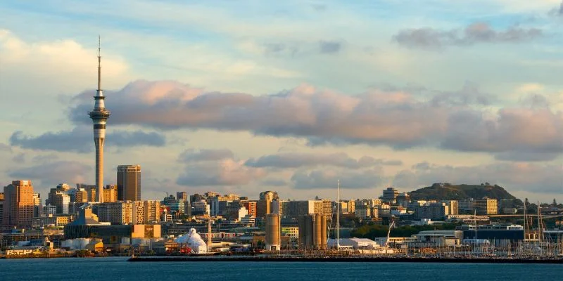 Auckland Office in New Zealand