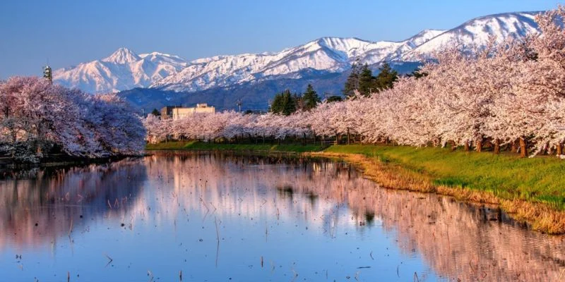 ANA Wings Niigata Office in Honshu