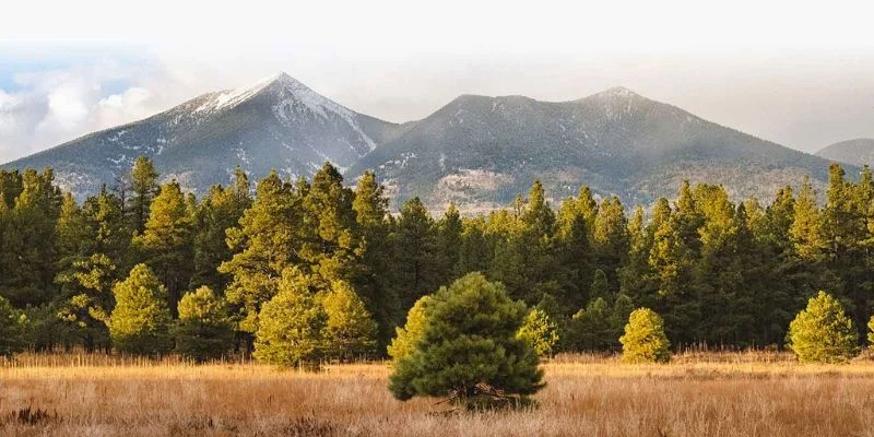 Horizon Air Flagstaff Office in Arizona